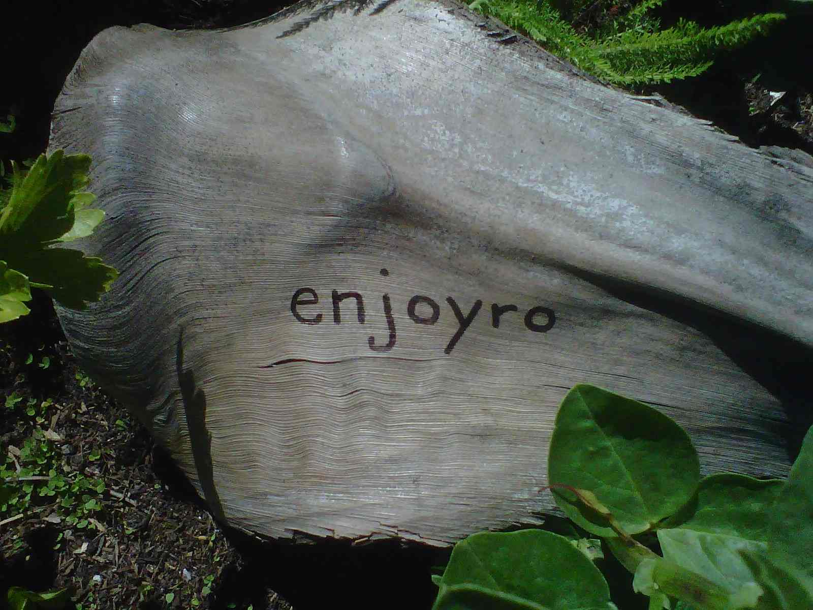 enjoyro